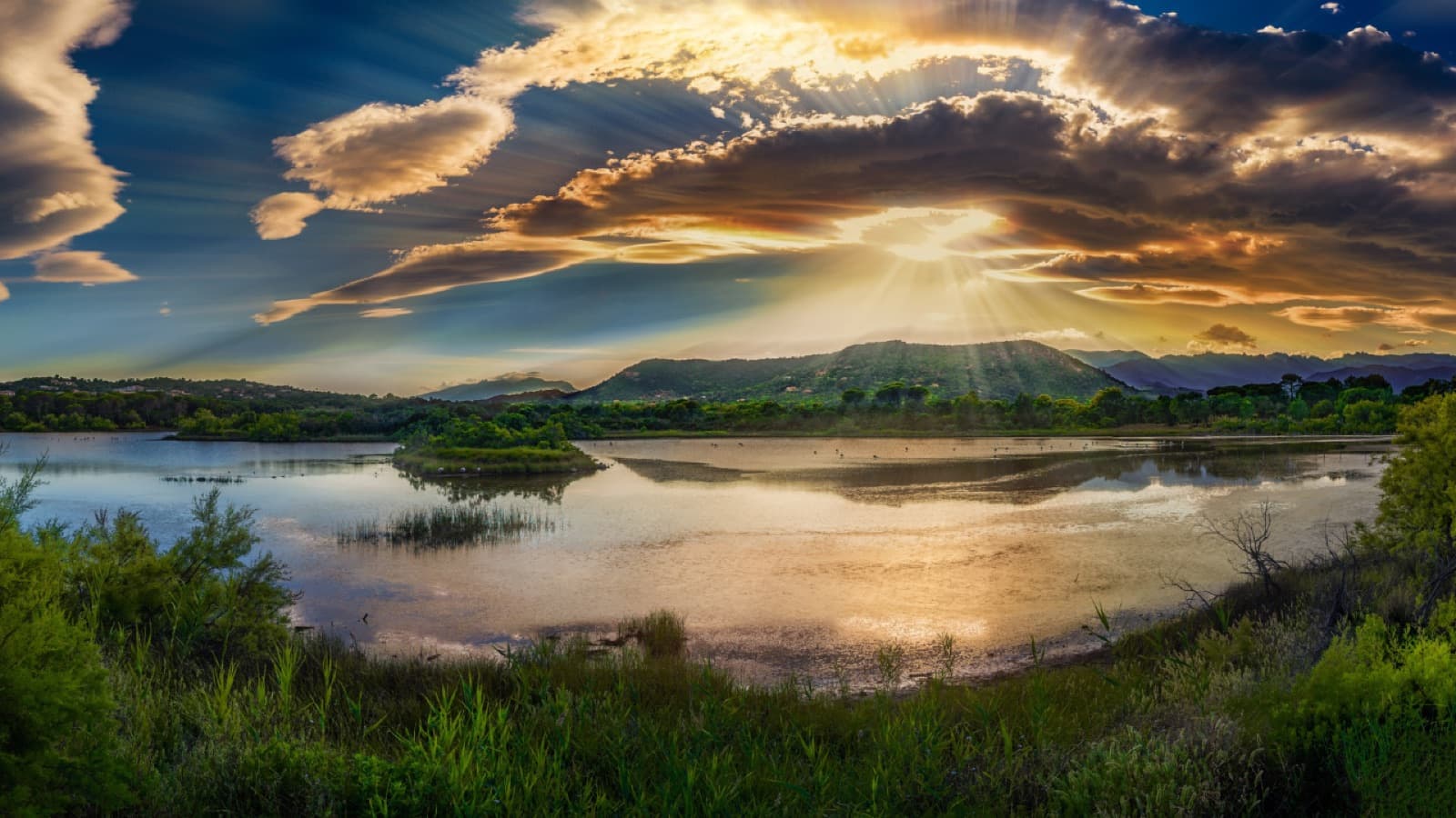 New Mercies This Morning: devotional cover photo