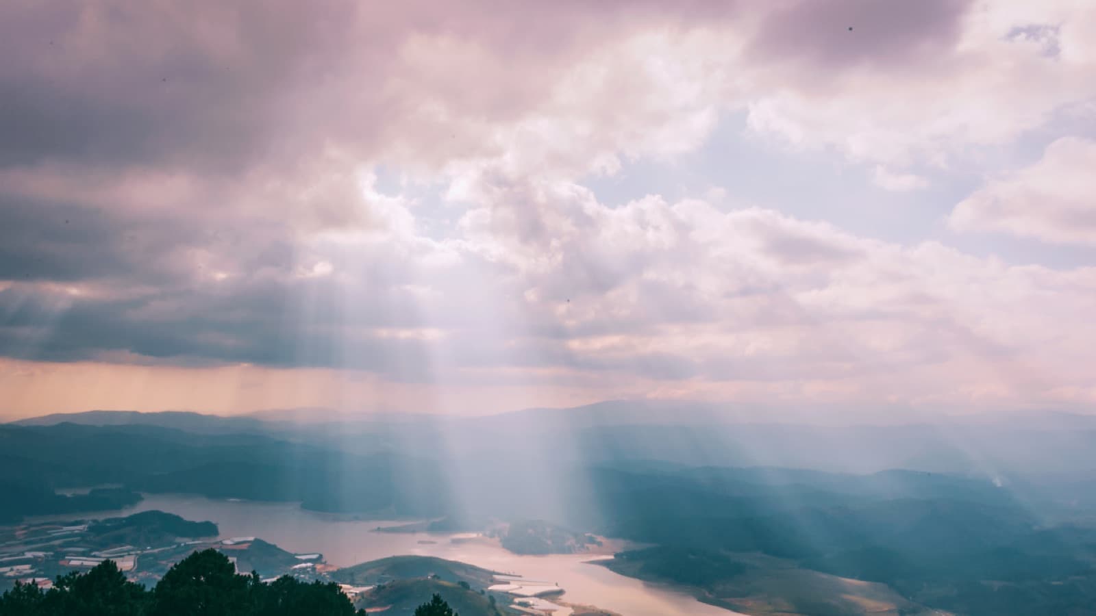 Be Still in a Loud World: devotional cover photo