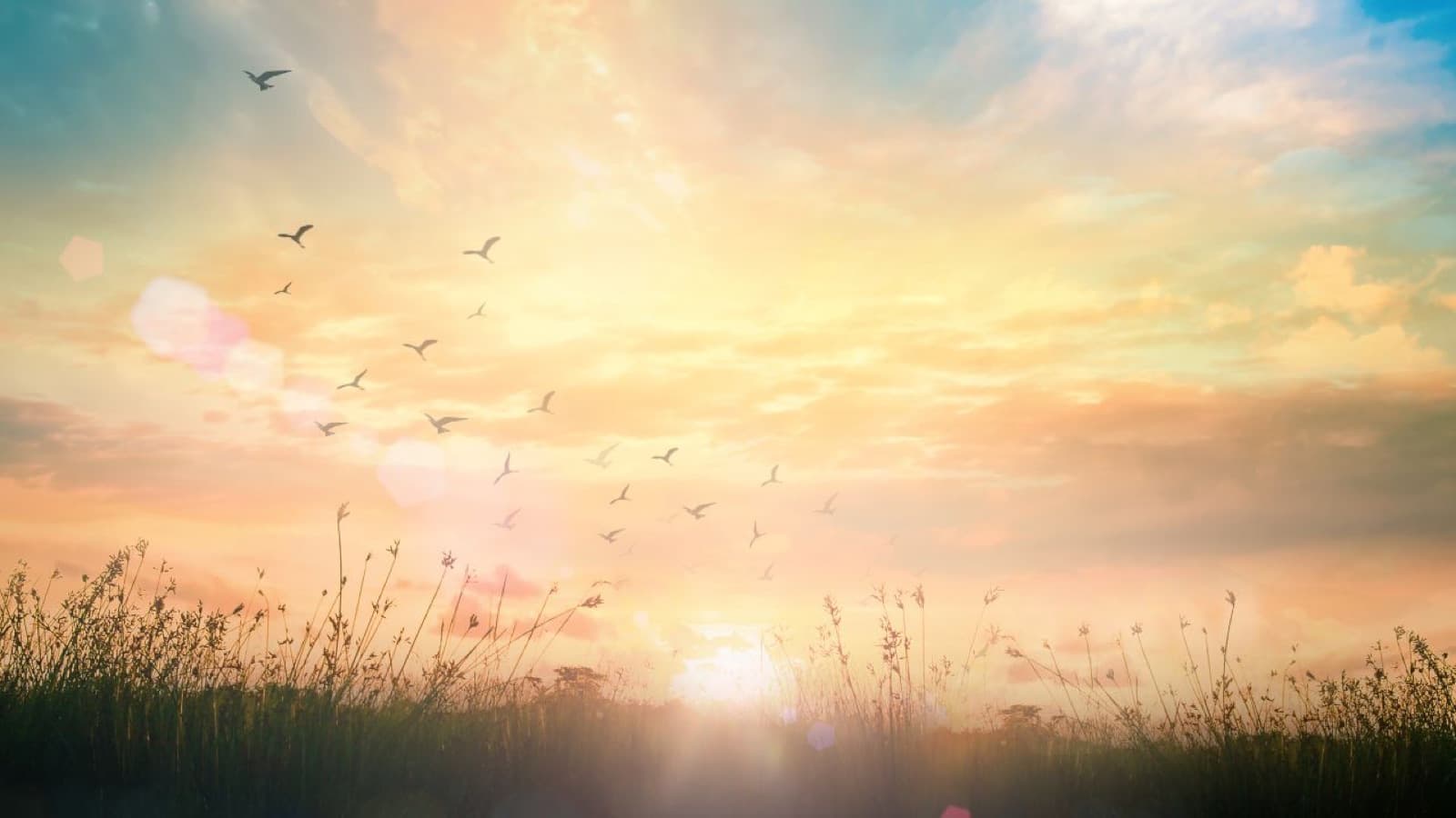 For the Ceiling-Starers: A Devotional for When You Can't Sleep: devotional cover photo